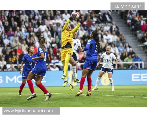 2018年世界杯预选赛法国队与瑞典队激战回顾与精彩瞬间分析