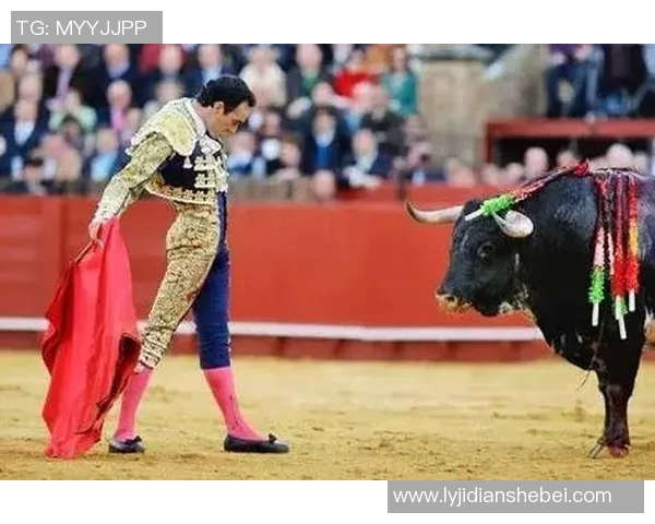 巴西与印度尼西亚的足球对决：激情碰撞与文化交融的精彩瞬间