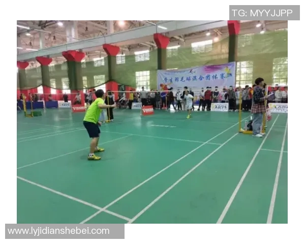 武汉羽毛球队在羽毛球比赛中经验排名创新高展现实力与潜力